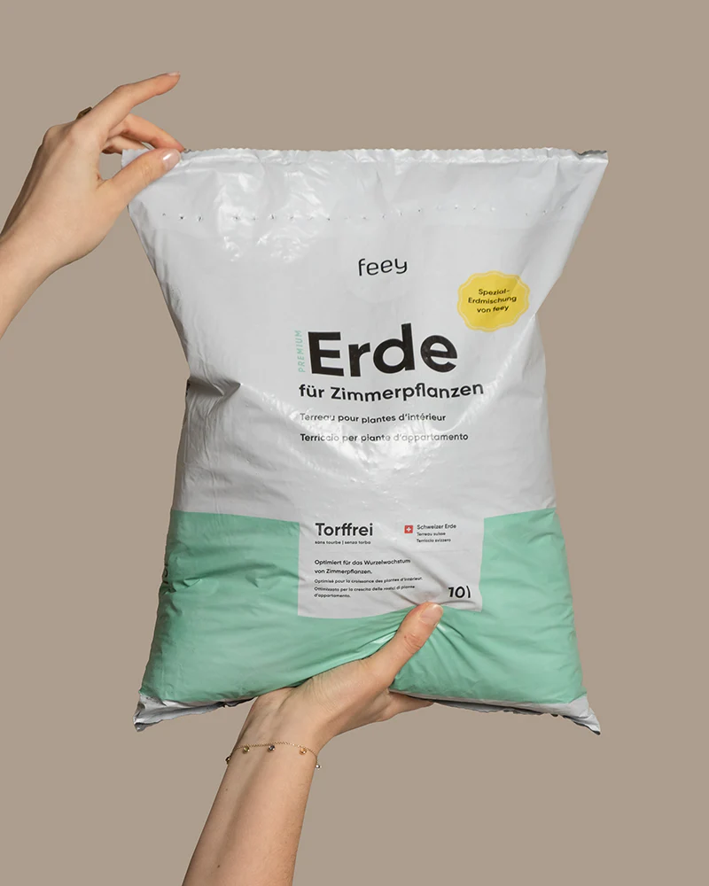 Erde für Zimmerpflanzen - Image 8